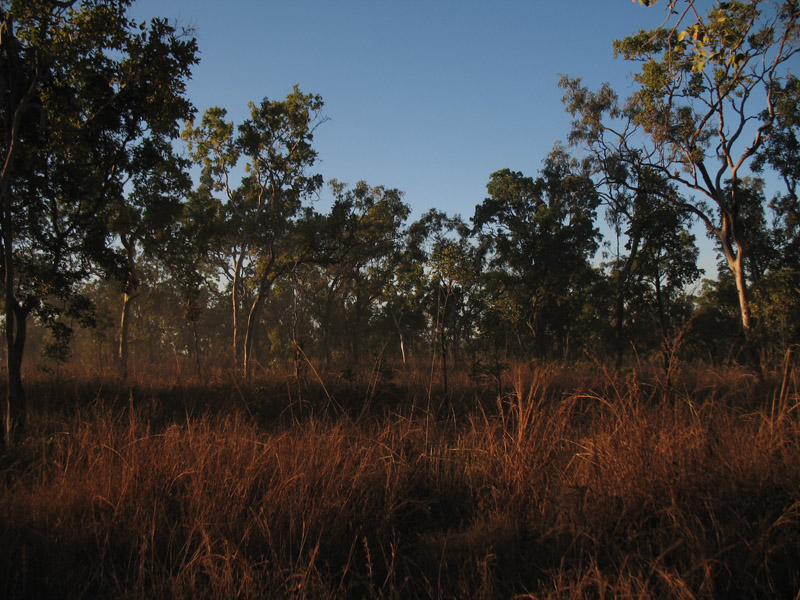 Lakefield National Park - Walkabout